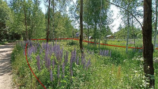 Участок 15 соток, ИЖС, в д.Алексино, все коммуникации по границе — фото 5